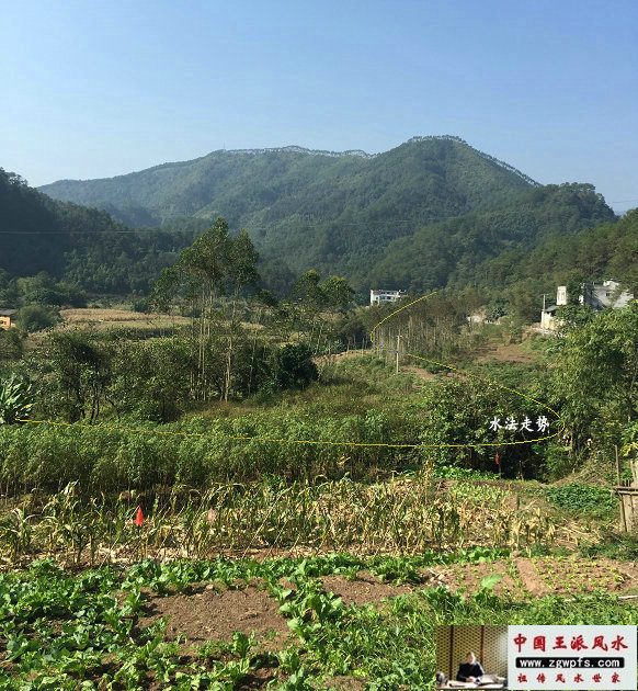 风水大师王君植在贵港寻龙点穴路遇一穴